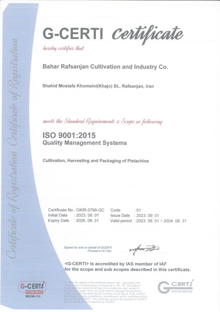 ISO 9001 گواهینامه